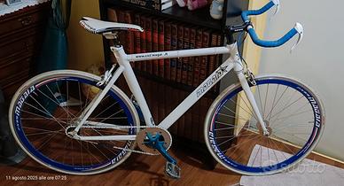bicicletta a scatto fisso 