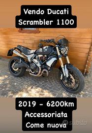 Ducati Scrambler 1100 - 2019