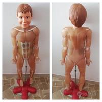Corpo Umano RBA 64 Fascicoli perfetto