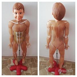 Corpo Umano RBA 64 Fascicoli perfetto
