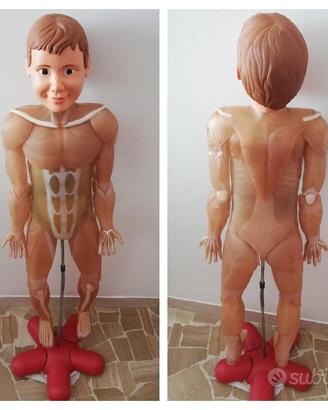 Corpo Umano RBA 64 Fascicoli perfetto