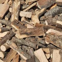 legna per camino e stufa 