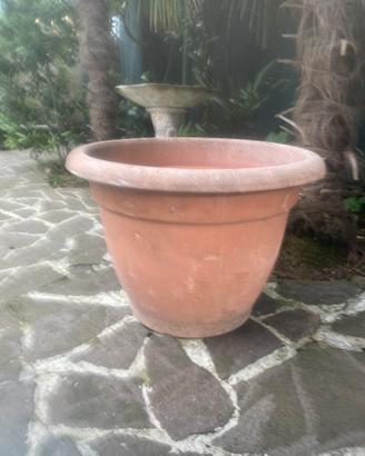 Vaso x piante