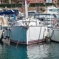 Barca a vela Delphia 29 del 2005