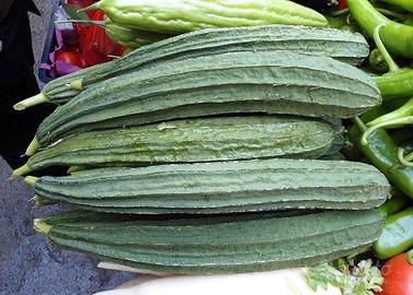50 Semi di spugna vegetale, Luffa Cylindrica 