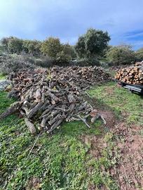 LEGNA DI QUERCIA SASSARI  BONORVA BONO