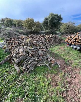 LEGNA DI QUERCIA SASSARI  BONORVA BONO