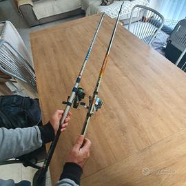 Canne da trota DAIWA