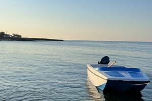Barca 4.50 + carrello + motore 15cv yamaha