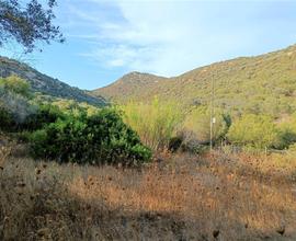 Terreno agricolo in Loc.Osseddu/Suiles