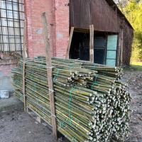 Tutori canne di bambù