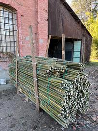 Tutori canne di bambù