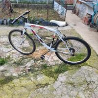 Bici MTB