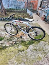 Bici MTB