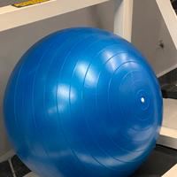 Gymball Palla dimagrante