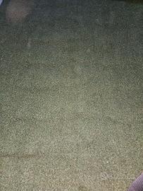 erba sintetica alta qualità 