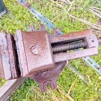 Morsa indistruttibile