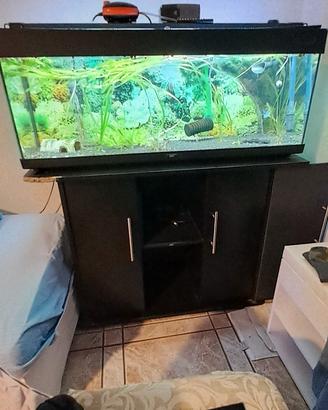 acquario 