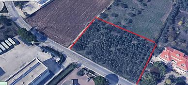 Terreno di 3518 m² a Ortona