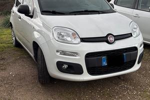 Fiat panda anno 2023 benzina