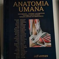 Anastasi anatomia 1,3