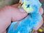 Immagine 1