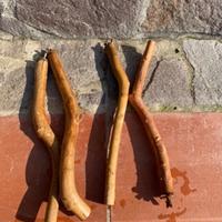 Posatoi in legno per pappagalli