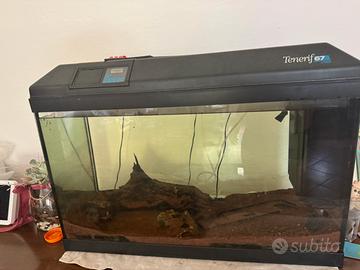 Acquario Tenerife 67