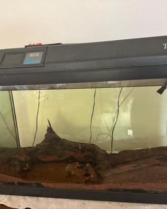 Acquario Tenerife 67