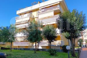 Ufficio Carrara [Cod. rif 3296557VCU]