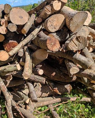 Legna da ardere per forno 