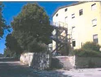 CP 1/2020 Trib Campobasso