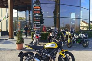Ducati Scrambler 800 | EY55416