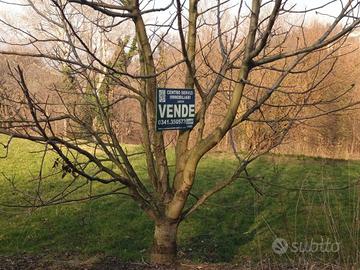 Terreno di 6196 m² a Ello