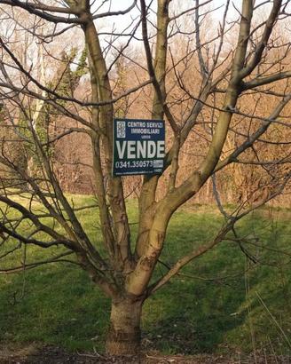 Terreno di 6196 m² a Ello