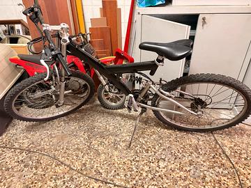 Bicicletta Mtb e downill Ragazzo/bimbo