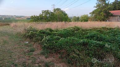 Terreno di mq. 700