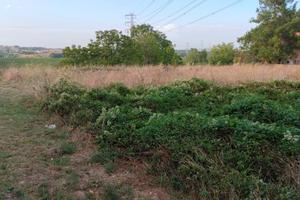 Terreno di mq. 700
