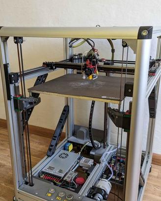 Stampante 3D autocostruita 310mm*310