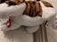 Immagine 3