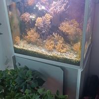 acquario con sump