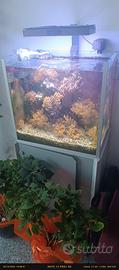 acquario con sump