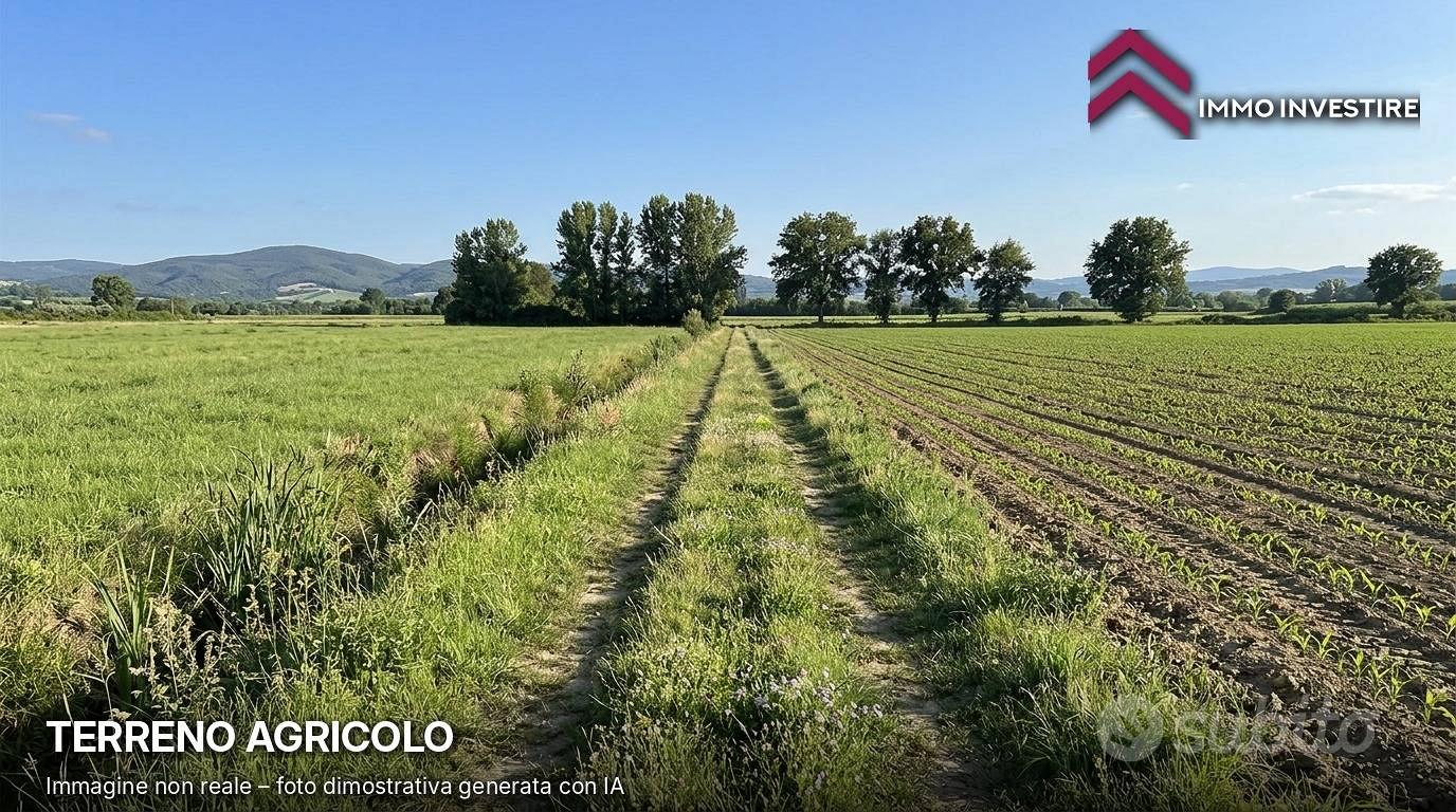 Terreno Agricolo - Torrita di Siena - Vista 5