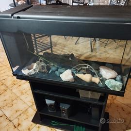 acquario 