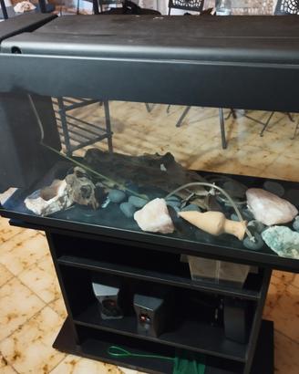 acquario 