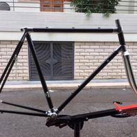 Telaio Vintage in Carbonio per bici corsa