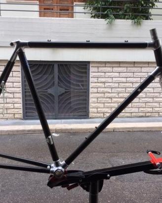 Telaio Vintage in Carbonio per bici corsa