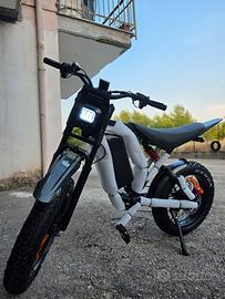 bici con doppio motore 24 mesi di garanzia 