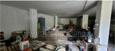 Magazzino Anzio [A4320616]