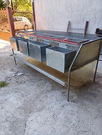 gabbia per coniglie  fattrici